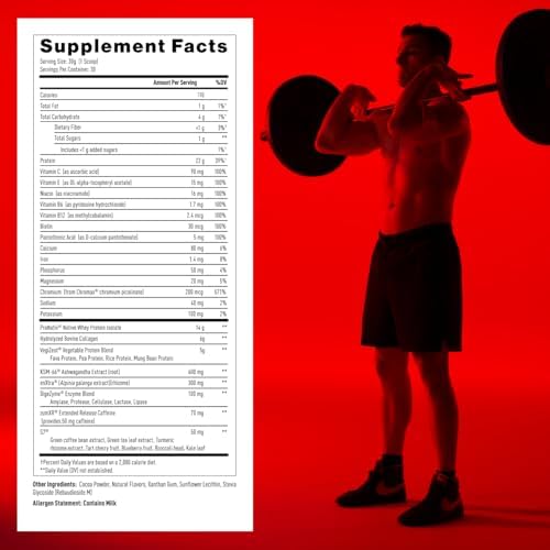 Mdrive Start Performance Protein Powder Chocolate Mousse 30 Servings | 9 in 1 Complete Nutrition Shake Adaptogen Blend Digestion Immune Nitric Oxide