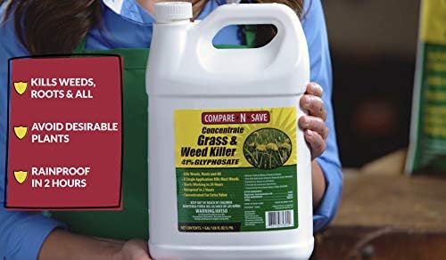 Compare-N-Save Glyphosate Concentrate Grass & Weed Killer Herbicide, 16-ounce