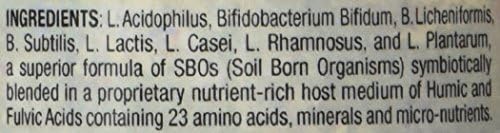 Body Biotics Bio-Identical SBO Probiotics Consortia, Probiotic and Prebiotic Supplement, Non-Dairy, 90 Capsules