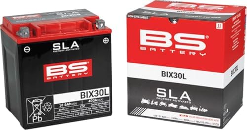 Batería BS Battery SLA BIX30L (FA)