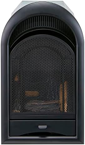 ProCom Dual Fuel Ventless Gas Fireplace Insert - Arched Door, 10,000 BTU, T-Stat Control - Model# PCS100T