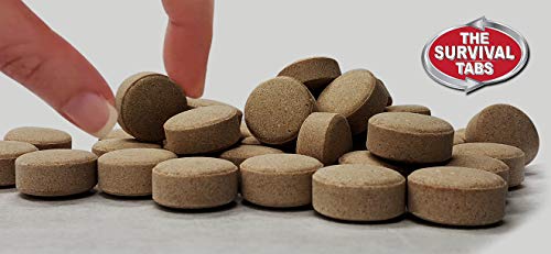 Survival Tabs – Emergency Food Supply – 10-Day Chocolate Tabs, High-Protein | Loaded with 15 key vitamins and minerals for everyday energy needs - fits neatly in backpacks, glove boxes, or pantry shelves