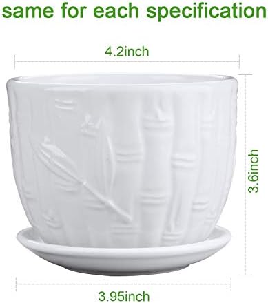 Flower Pots, 4 Inch Cylinder Ceramic Plant Pots with Connected Saucer, Mini Ceramic Planters for Succulent and Little Snake Plants (6 Pack, White)