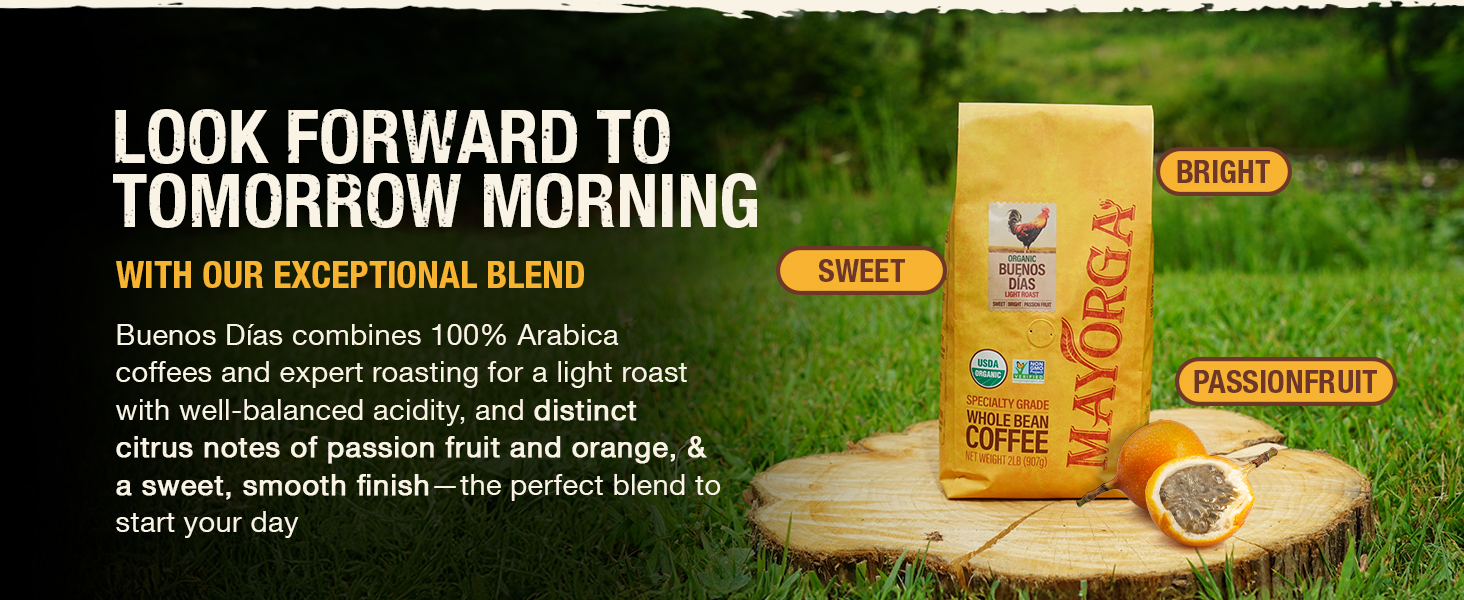 Mayorga Coffee, Organic Buenos Días Blend. Light Roast Whole Bean Coffee.