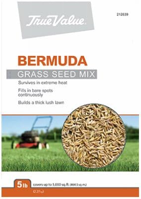 BARENBRUG USA TVBERM5 True Value 5 lb Bermuda Seed