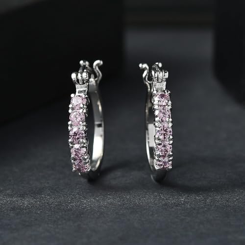 Color Orchid Cubic ZirconiaEarrings in Stainless Steel