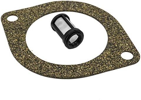 Western Fisher Snow Plow Motor Gasket 25861 5822 and Suction Filter 56185 7053K Kit