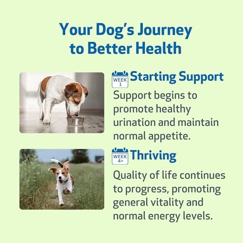 Pet Wellbeing Kidney Support Gold for Dogs - Kidney Care & Hydration, 2 oz