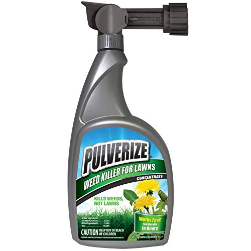 Weed Killer for Lawns Concentrate
