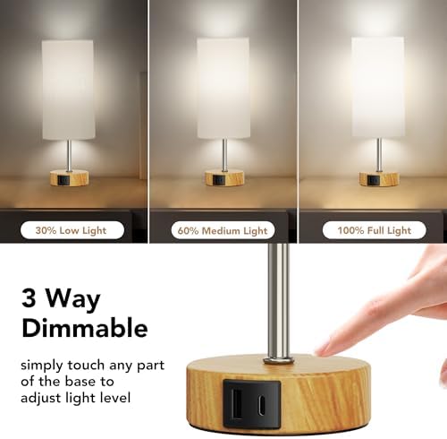 ROTTOGOON 12.8" Touch Control Table Lamp, 3-Way Dimmable Small Bedside Nightstand Lamp with 2 USB Ports