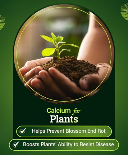 FoxFarm Happy Frog Tomato & Vegetable Fertilizer - Vegetable Fertilizer for Vigorous Feeders, 5-7-3 Blend with Calcium & Mycorrhizal Fungi