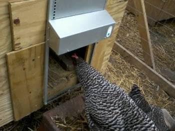 Automatic Chicken Coop Door Extra Large 13 x 10.5 Inch Opening, Heavy Duty Galvanized Steel, Predator Resistant, ADOR1 Made in USA