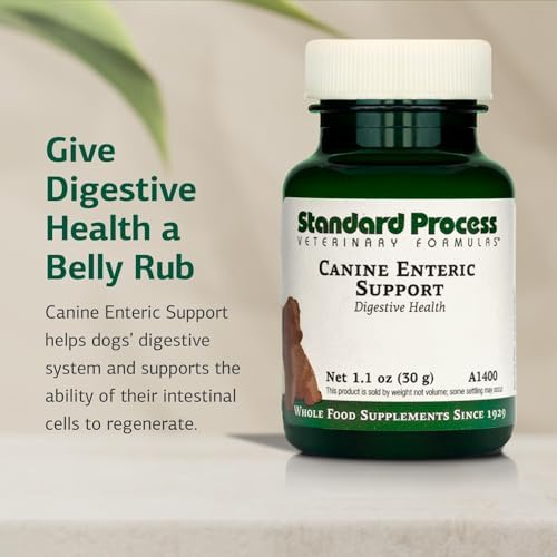 Standard Process Inc. Canine Enteric Support - Digestive System Support for Dogs - Nutritional Dog Supplement for Gut Health - Canine Supplement Formula to Aid Healthy Digestion - 30 g