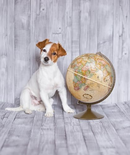 Replogle Globes Franklin World Globe, Antique Ocean, 12-Inch Diameter,Over 4,000 Place Names