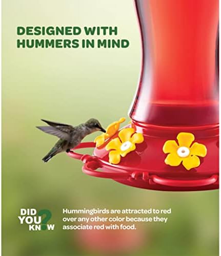Hummingbird Feeder [Set of 2] Leakproof Clear Plastic 10 oz Wide Mouth.