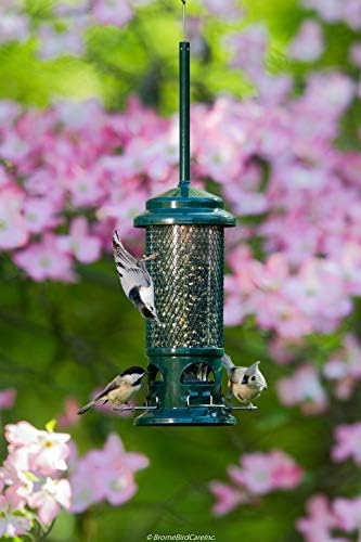 Squirrel Buster Standard Squirrel-proof Bird Feeder w/4 Metal Perches, 1.3-pound Seed Capacity, garden green | Four metal perches