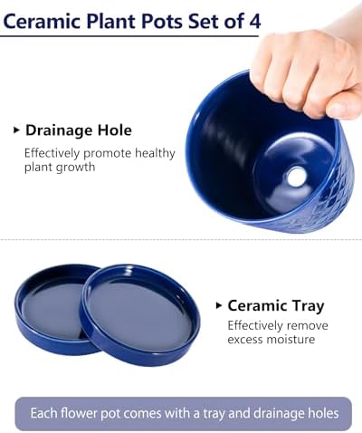 EFISPSS Ceramic Plant Pots, 5 Inch Planters with Drainage Holes and Ceramic Tray, Relief Design Flower Planter