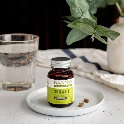 Banyan Botanicals Shilajit – 90 Pure Pressed Tablets for Energy & Vitality*