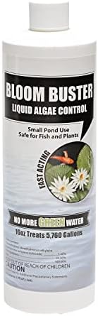 Bloom Buster Pond Algae Control - 16oz - Fast Acting Algaecide, Use in Fountains & Outdoor Ponds Containing Koi & Other Fish - EPA Registered