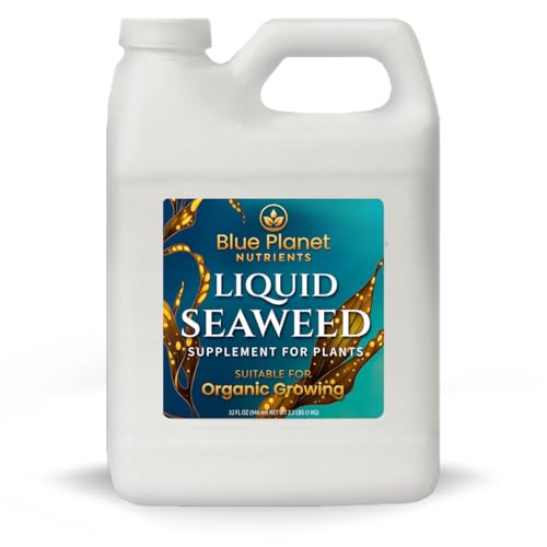 Liquid Kelp Seaweed Fertilizer Concentrate - Blue Planet Nutrients Ascophyllum Nodosum Liquid Seaweed Supplement - Makes 470 Gallons - Quart (32 oz)