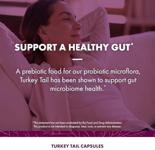 Host Defense Turkey Tail Capsules - Digestive Health & Immune Response Support Supplement - Mushroom Supplement for Gastrointestinal & Gut Microbiome Support - 120 Capsules