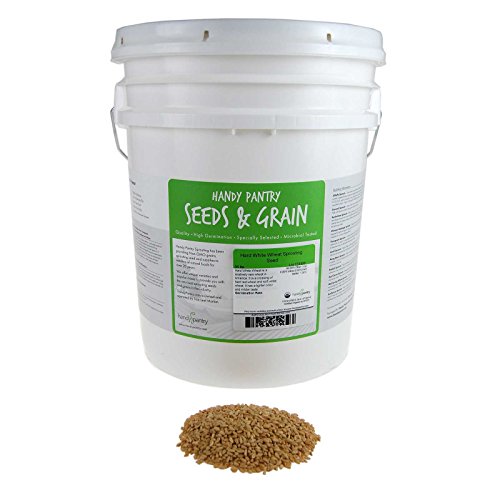 Handy Pantry Organic Whole Wheat Kernels Hard White Wheat Grain 1Lb Non-GMO | Heirloom Wheat Seeds for Hard White Wheat Berry Seeds for Sprouting Organic Wheatgrass Wheat Berry Bread Winter Wheat Seed