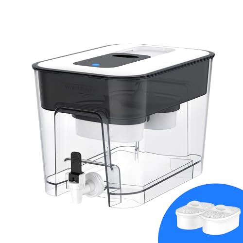 Waterdrop WFD-22L Large Water Filter Dispenser, 40-Cup Capacity, Black