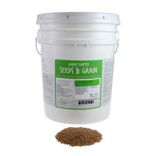 Handy Pantry Organic Hard Red Wheat Seed 35 Lb Non-GMO Grow Wheatgrass | Flour, Grain & Bread, Emergency Food Storage