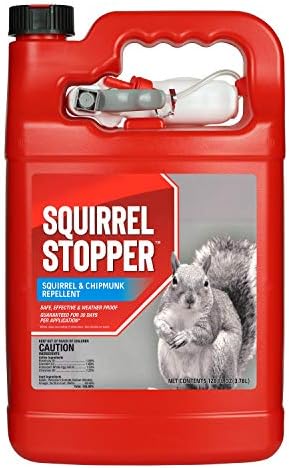 Squirrel Stopper Repellent Spray - Chipmunk & Squirrel Deterrent for Bird Feeders, Garden & Homes - Weather-Resistant Formula - Scent, Taste & Touch Barrier - Safe Around Kids & Pets - 32oz