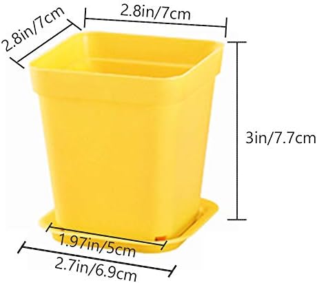 Haawooky 24 Pack Colorful Flower Pots Square Plastic Plant Pots Succulent Planter Nursery Pots with Saucers for Your Room