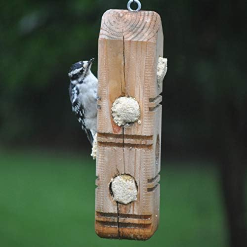 C&S Peanut Delight No Melt Suet Dough Plugs, Suet Plugs for Wild Birds, 12 Oz, 4 Count