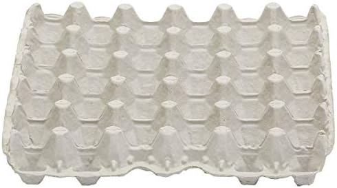 Little Giant® Egg Flat Carton - Reinforced Flat Egg Carton Trays Holds 30 Eggs for Storage and Transport - Pack of 12 - Made in USA
