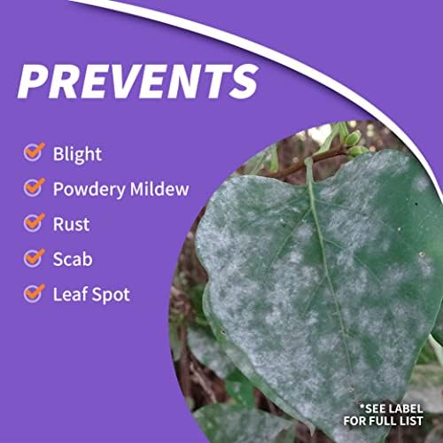 Bonide Infuse Systemic Disease Control Lawn & Landscape | 32 oz Ready-to-Spray Fungicide for Turf & Ornamentals