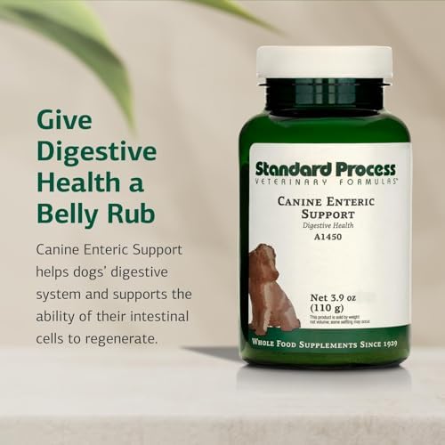 Standard Process Inc. Canine Enteric Support - Digestive System Support for Dogs - Nutritional Dog Supplement for Gut Health - Canine Supplement Formula to Aid Healthy Digestion - 30 g