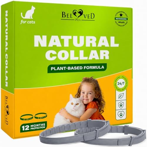 Natural Flea & Tick Collar for Cats - 6 Months Control of Best Prevention & Safe Treatment - Anti Fleas and Ticks Essential Oil Repellent (1 Pack)