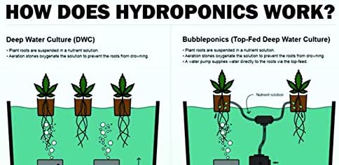 The Atwater HydroPod - DWC Deep Water Culture Garden System Kit - 5 Gallon Bubble Bucket - Bubbleponics - Nutrients & pH Testing/Adjusting Kits are