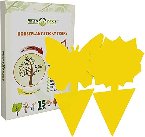 Trap a Pest Indoor Plant Sticky Gnat Traps - Yellow - 15 Pack