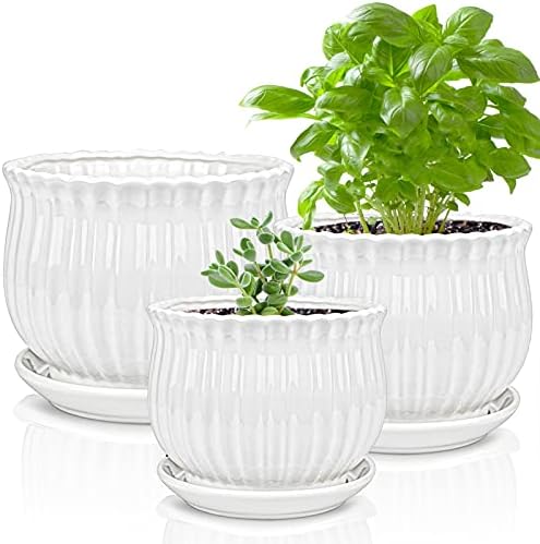 Yesland 3 Pack Ceramic Planter Pots, 3.9"/5.3"/6.7" Modern Round Flower Pots with Drainage Holes & Saucers, Small Indoor Planters for Succulent Cactus
