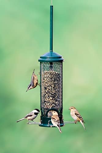 Squirrel Buster Mini Squirrel-Proof Bird Feeder for Wild Birds – 4 Metal Perches, 1 lb Seed Capacity, Chew-Proof Design, Lifetime Care