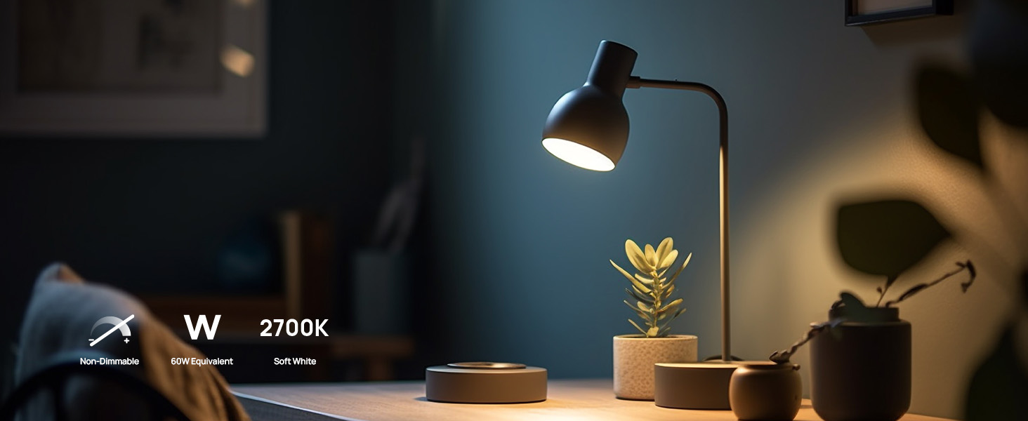 non dimmable bulbs
