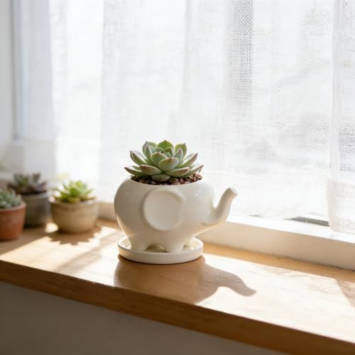 GeLive White Cow Succulent Pot, Small Ceramic Animal Planter with Drainage Hole & Saucer for Cactus, Mini Air Plants, Pencil Holder Brush Organizer, Indoor Home Office Desk Decor, Funny Gift