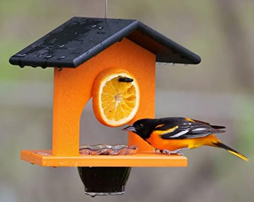 Oriole Bird Feeder, Poly Lumber Hanging Oriole Jelly Feeder (Black/Orange)