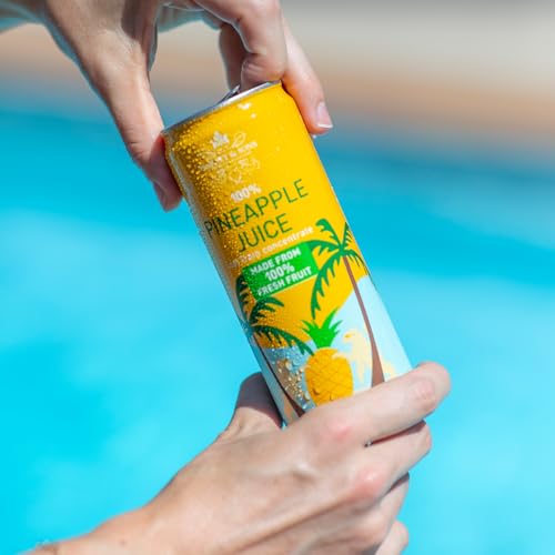 Harney & Sons Pineapple Juice, 12 Cans, 10.8 fl oz | 100% pineapple juice not from concentrate. Twelve 10.8 fl oz cans. Caffeine free.