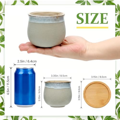 2.1 Inch Ceramic Small Succulent Pot,Plant Pots,Mini Flower Pots | Ceramic Succulent Pots with Drainage,Small Planter for Mini Plant Flowing Glaze Base Serial Set with Holes for Indoor,Outdoor