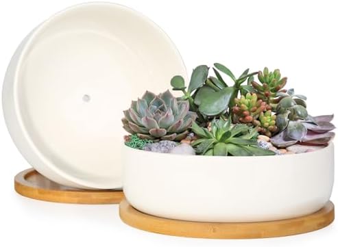 ZOUTOG 2 Pack 6" Ceramic Succulent Pots, White Planters with Drainage Tray
