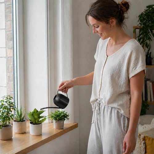 IMEEA Indoor Watering Can for House Plants 33oz/1L Brushed Stainless Steel Watering Can with Long Spout for Succulents, Bonsai