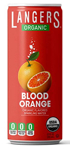 Langers Organic Flavored Sparkling Water, Ginger, 12 Fl Oz (Pack of 8)