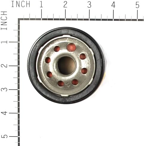 Briggs & Stratton 842921 Genuine Vanguard Oil Filter, 2-1/4"
