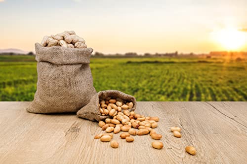 Fruidles Raw Peanuts, 2 Pound Bag Raw Peanuts in Shell, Great for Boiling, Squirrels Feed, Birds Feed and Wildlife