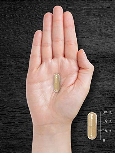 Carlyle Pygeum Supplement | 240 Capsules | with Africanum Bark Extract